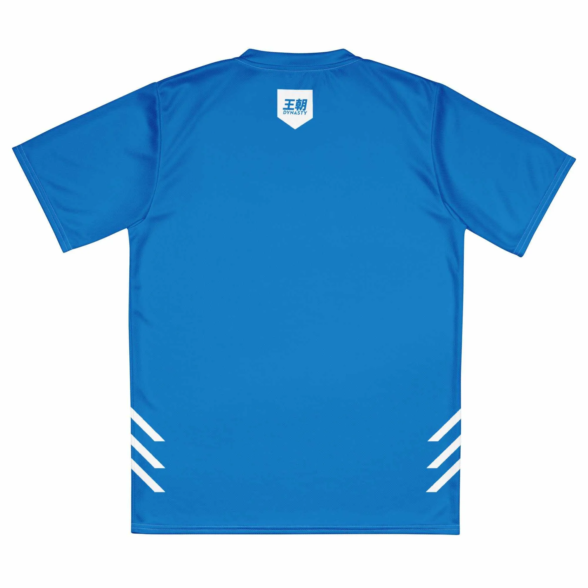 Dynasty Combat Sports Training Shirt (Blue)