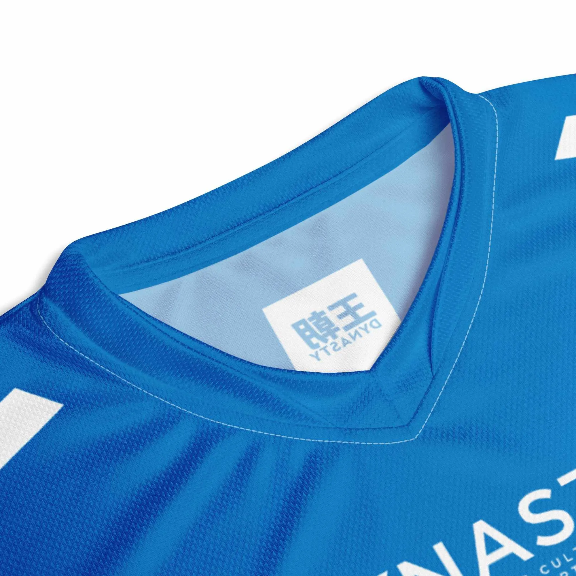 Dynasty Combat Sports Training Shirt (Blue)