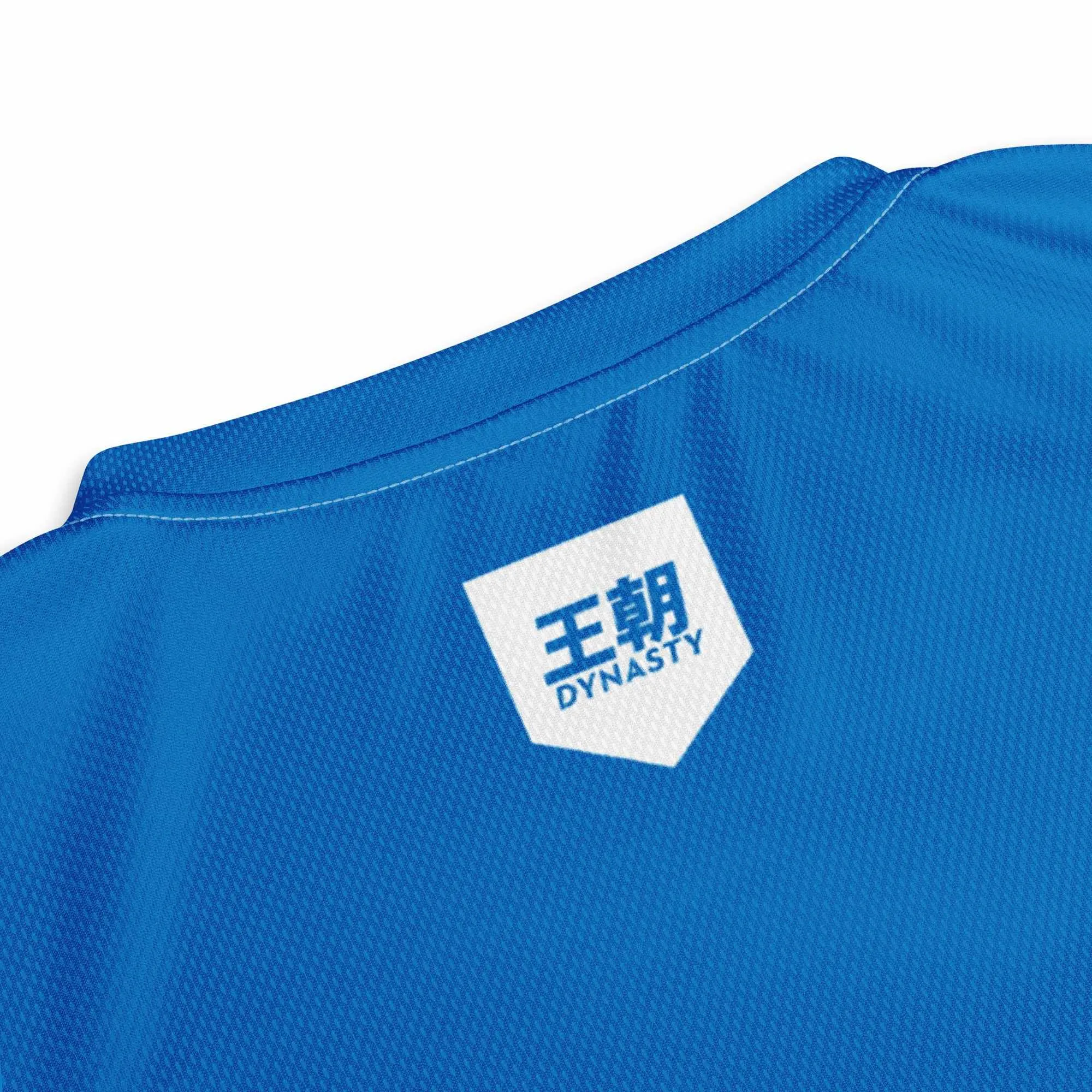 Dynasty Combat Sports Training Shirt (Blue)