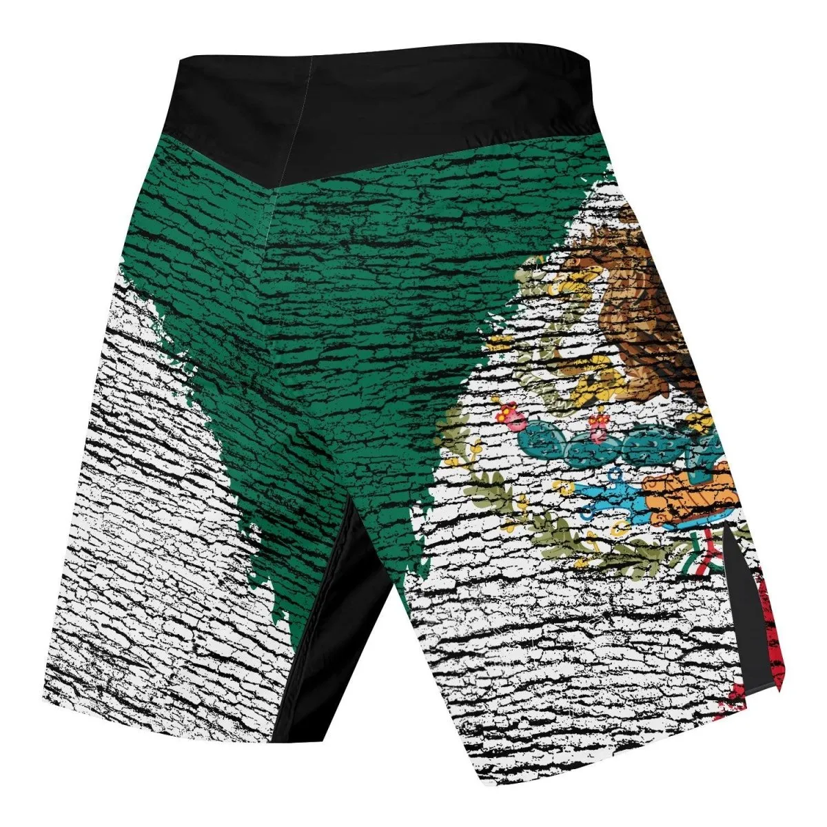 Mexico Flag Fight Shorts