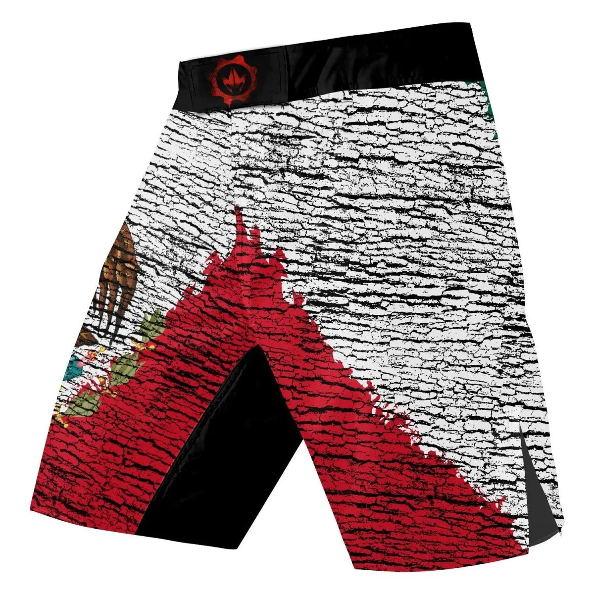Mexico Flag Fight Shorts