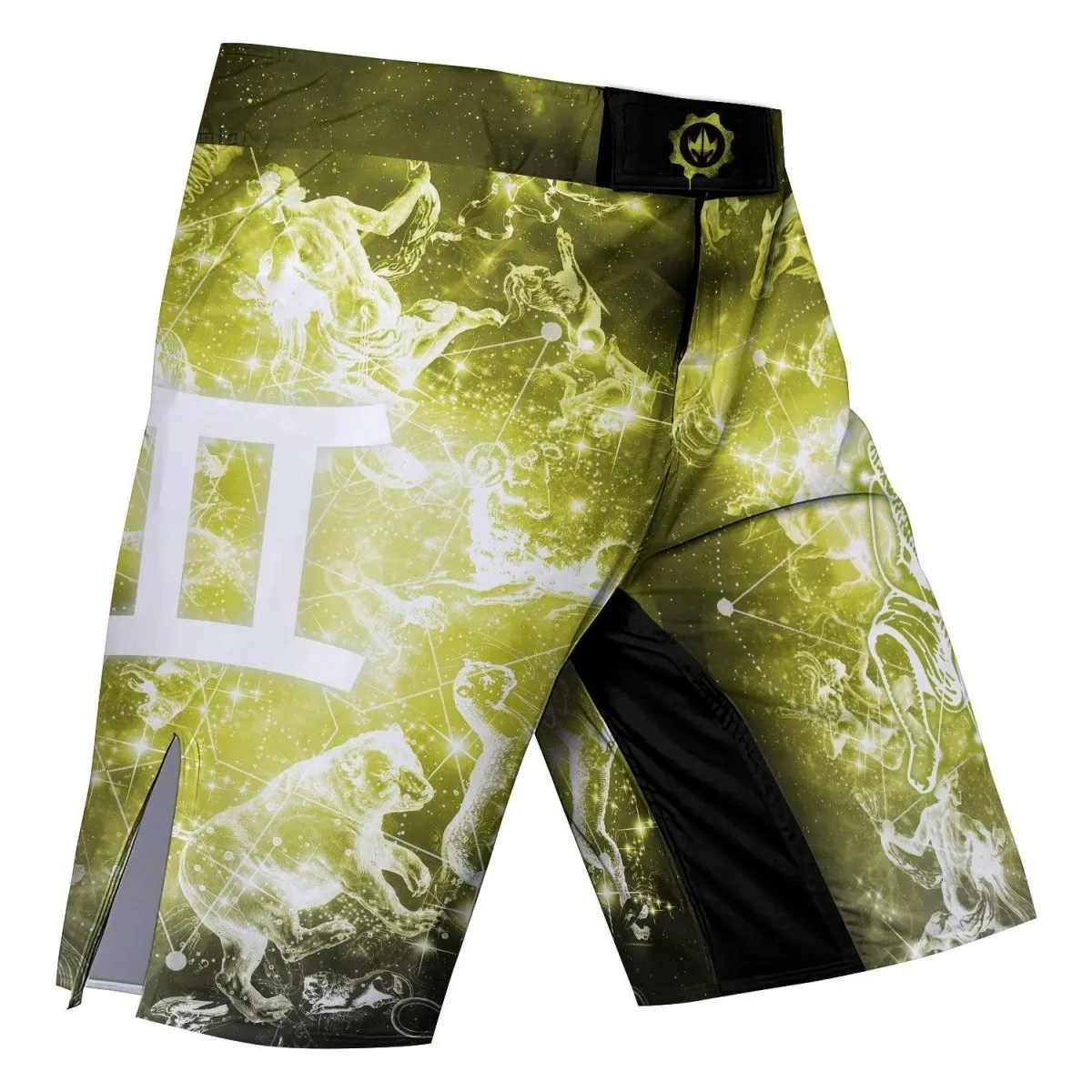 Zodiac Gemini Fight Shorts