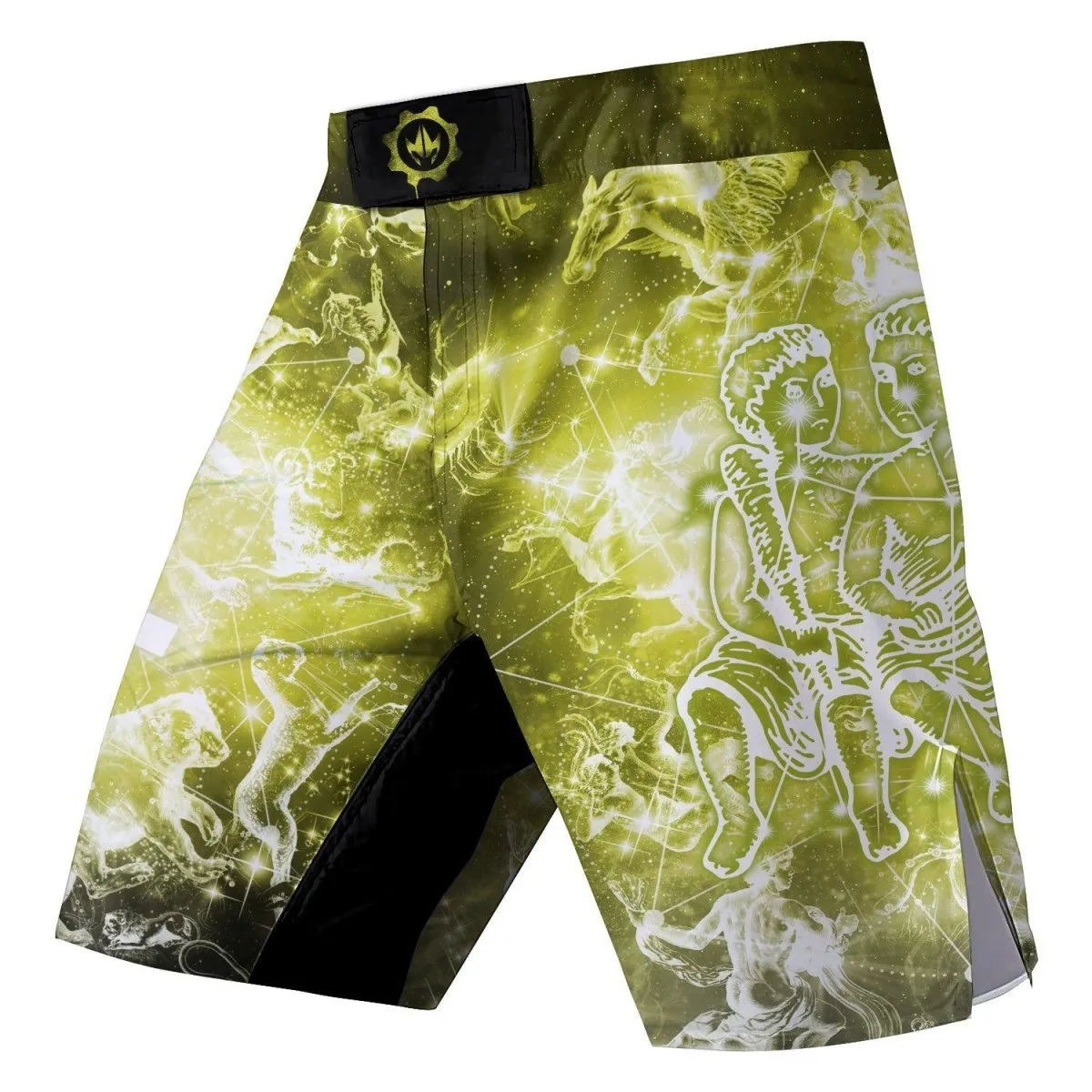 Zodiac Gemini Fight Shorts