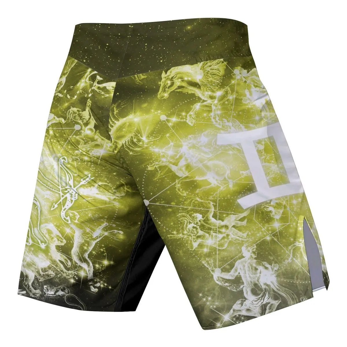 Zodiac Gemini Fight Shorts